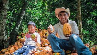 Salón del Cacao y Chocolate 2022: Echarati, La Convención, Cusco, tiene el mejor cacao y chocolate peruano