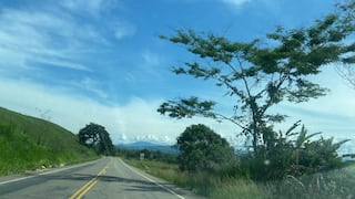 [OPINIÓN] Juan Manuel Benites: “Palmas para la Amazonía peruana”