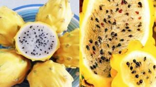 La pitahaya y otras frutas amazónicas pueden reforzar tu sistema inmune contra el coronavirus