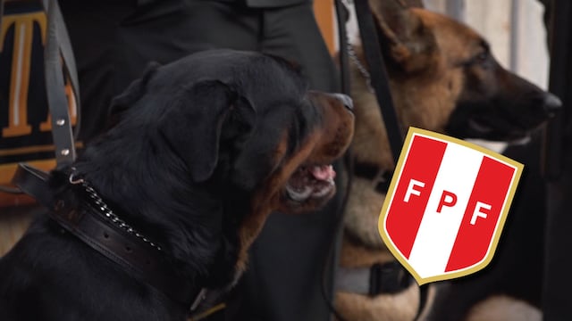 La Brigada canina cuidará a los hinchas en el Estadio Nacional [VIDEO]