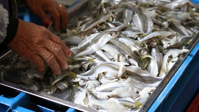 La pesca y la acuicultura podrían garantizar la seguridad alimentaria del mundo al 2050 