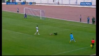 Alianza Lima vs. Binacional: Dos perros paralizaron el encuentro en Juliaca [VIDEO]