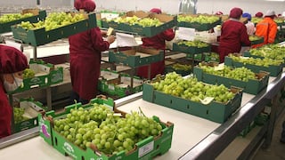 Agroexportaciones crecieron 25.1% a junio tras sumar US$ 4,293 millones, según Midagri 