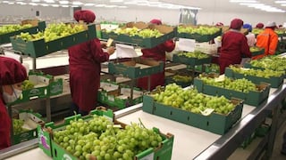 Exportación no tradicional de frutas sumó US$1428.1 millones hasta octubre