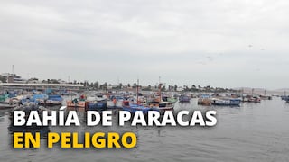 Bahía de Paracas en peligro: Director de la Asociación Mundo Azul dio detalles sobre el caso