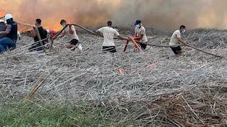 Fuerzas Armadas apoyaron en la extinción de incendio forestal en Áncash