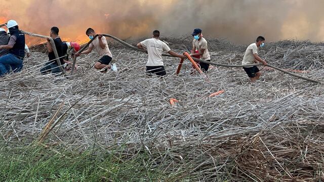 Fuerzas Armadas apoyaron en la extinción de incendio forestal en Áncash