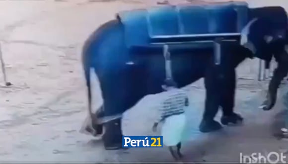 Elefante mata a su entrenador tras maltratos. (Foto: Twitter)