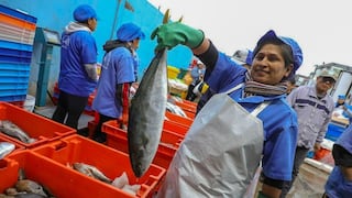 Precio del pescado baja hasta en 20% en Lima y Callao, según Produce