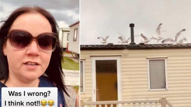Madre de familia se venga de sus vecinos ruidosos cubriendo su techo con gaviotas