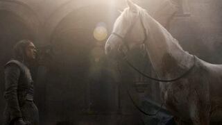 Game of Thrones 8x05: ¿Qué significa el encuentro de Arya Stark con un caballo blanco?