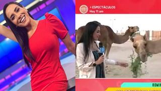 Romina Vega: Así reaccionó al ser sorprendida por un camello durante enlace en vivo desde Qatar | VIDEO