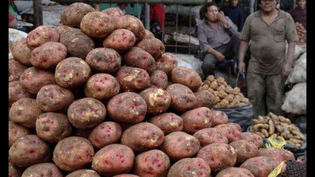 Perú y Bolivia unen esfuerzos para que pequeños agricultores tengan mejores ingresos con las ventas de papas