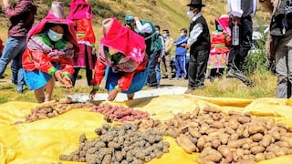 Bolivia impide el ingreso de algunos productos peruanos a su mercado