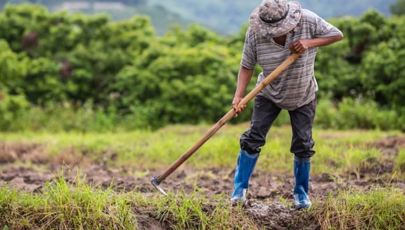 Gobierno de Dina Boluarte promulgan ley de interés nacional atender déficit hídrico en sector agrario. (Foto: Andina)