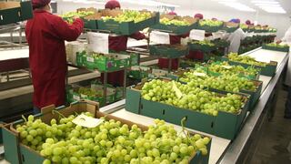 Agroexportaciones suman US$ 5,042 millones a setiembre, según Minagri
