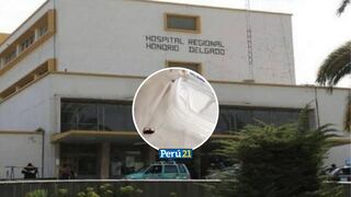 Arequipa: Alertan presencia de cucarachas en hospital