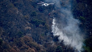 Combaten dos incendios en México que consumen unas 169 hectáreas de bosque