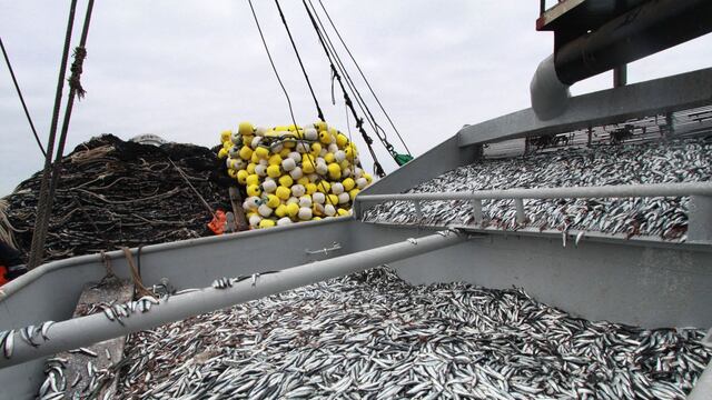 [OPINIÓN] Eduardo Ferreyros: “Sin pesca no habrá reactivación económica”