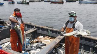 Produce crea grupo de trabajo para atender al sector pesquero tras derrame