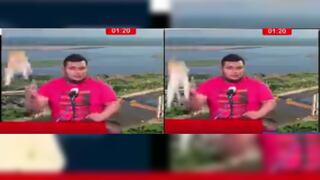 Su segundo de fama: Gato cae durante programa en vivo en Iquitos [VIDEO]