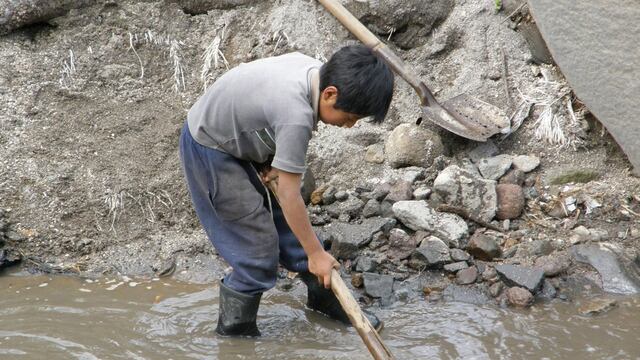 Día Mundial contra el Trabajo Infantil: 3 formas de denunciar en Perú