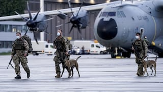 Afganistán: Estados Unidos niega haber abandonado sus perros en Kabul
