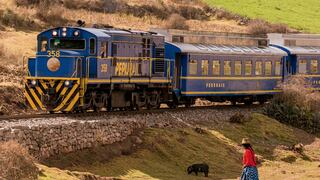Cusco: Suspenden operaciones del tren a Machu Picchu por protestas