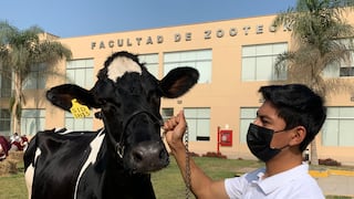 Día Mundial de la Leche: UNALM presenta sus productos lácteos a los peruanos 
