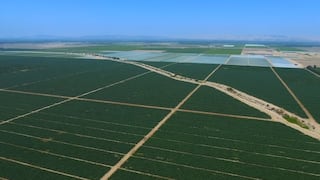 Sector agroindustrial recibe financiamiento verde por us$ 60 millones