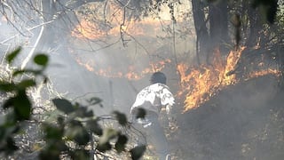Chile acusa a los mapuches de causar los incendios forestales