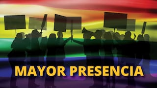 Se han presentado 24 candidaturas LGBT entre el año 2006 y 2016