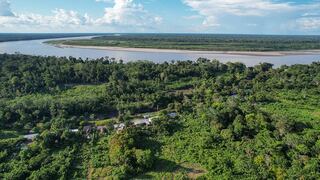 Organizaciones enfrentarán la deforestación de la Amazonía como parte del programa WWF