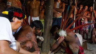 Brasil: Yanomamis enterraron sangre extraída a sus ancestros hace 45 años