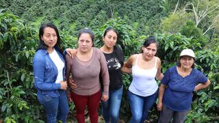 Las mujeres de Chirinos en Cajamarca sacan la cara por el café peruano [CRÓNICA]