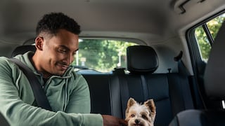Mascotas tendrán su lugar y podrán viajar con sus dueños a través de Uber Pet