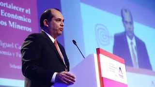 Luis Castilla: “Hay que evitar incertidumbre regulatoria”