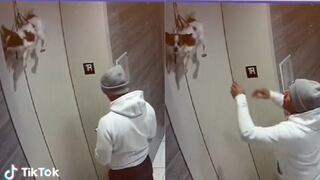 Encontró un perro colgado en la puerta de un ascensor y su reacción fue heroica [VIDEO]