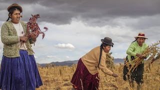 Minagri: 2 millones de mujeres participan en el sector agropecuario