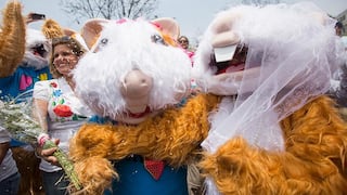 La campaña electoral se puso rara: PPKuy, la mascota de PPK, se casó con la PPKuya [Fotos]