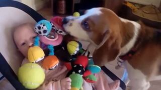 Charlie, el perro que se “disculpa” con una bebé por robarle su juguete [Video]