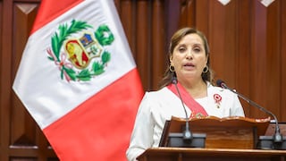 Misión de la ONU en Perú: “Es positivo el pedido de perdón de la presidenta a las personas afectadas durante las manifestaciones”