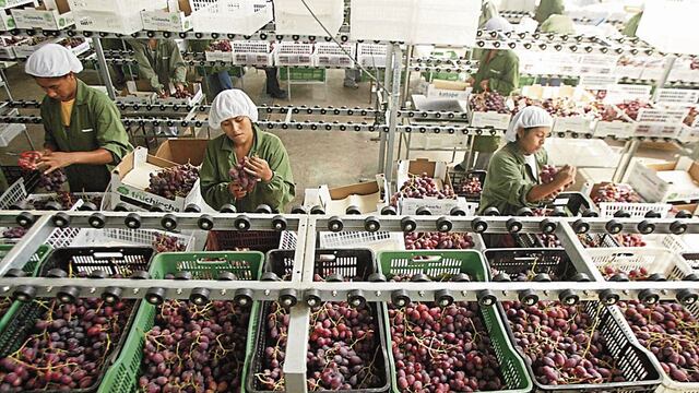 Agroexportaciones peruanas: Estados Unidos se mantiene como destino líder
