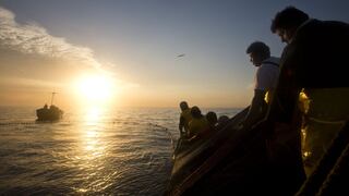 Suspenden pesca de merluza por siete días por alta incidencia de ejemplares juveniles