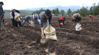 Minagri: Sector agropecuario crecería 4% en 2020 por impulso a la agricultura familiar 