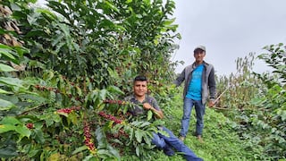 David Flores: “Mi sueño es ser el mejor productor de café del país”
