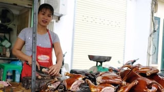 Venta de carne de perro y gato expande la rabia en Asia, denuncian ONG