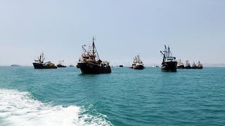 Demora norma para que barcos extranjeros puedan proveer atún a industria local