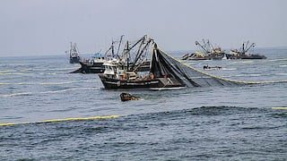 Produce fija límite de pesca de anchoveta para consumo humano en 150,000 toneladas 