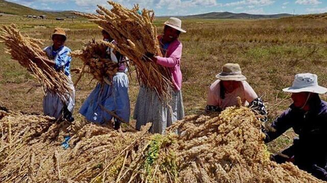 Cerca del 25% del PBI agrícola se encuentra en riesgo por El Niño